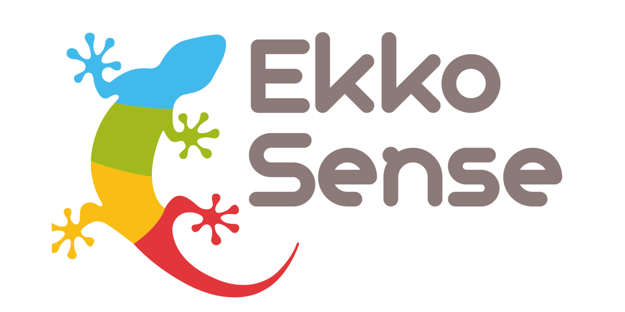 Ekkosense Logo