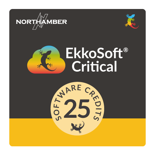 Small Package SW Subscription - 12 month Software Renewal Based on 25 Credits