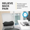 Fellowes Back Support for Office Chair Breyta Lumbar Cushion - 100119853